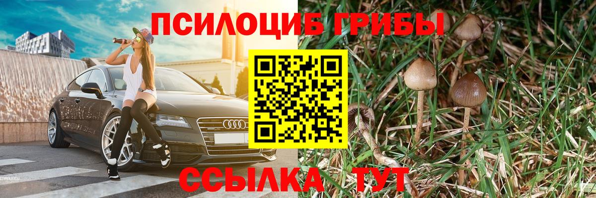 Псилоцибиновые грибы мицелий Находка
